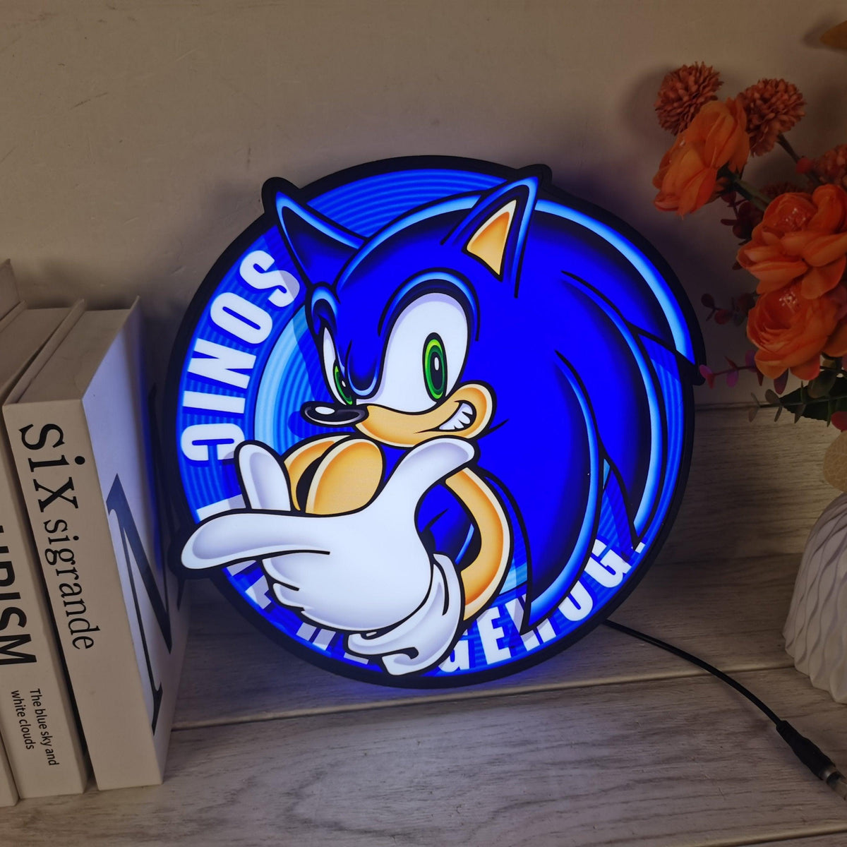 Senic Led Light Box Sonic the Hedgehog SEGA Logo 3D LED Light Box – FYLZGO Signs