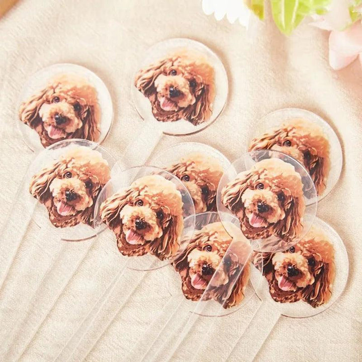 Impression acrylique personnalisée 2 faces chien chat boisson remuer bâton personnalisé boisson pour animaux de compagnie remuer bâton aquarelle acrylique Cocktail agitateurs