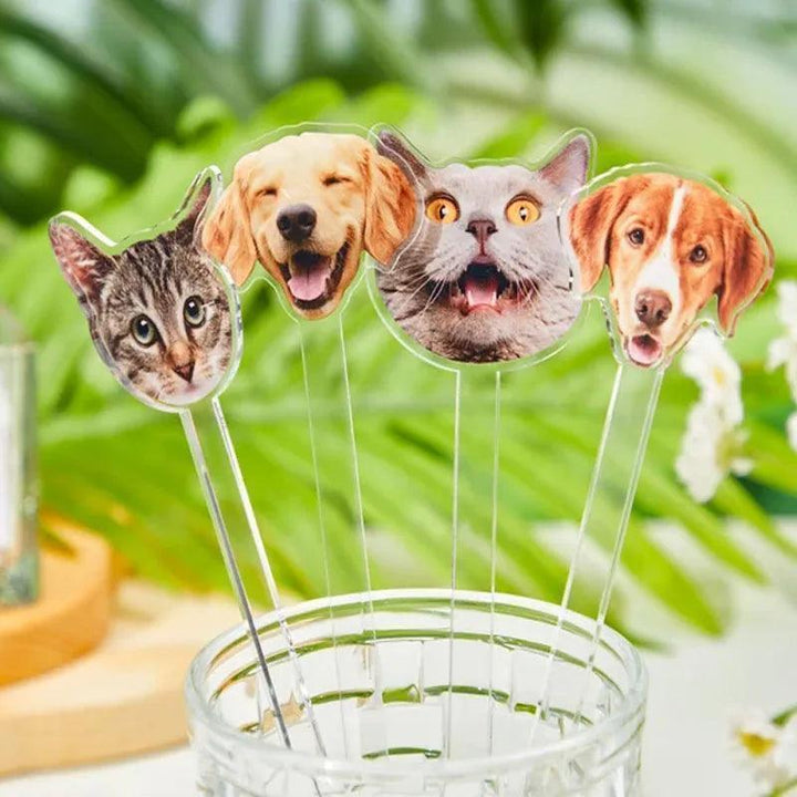 Bâtonnets personnalisés pour animaux de compagnie, bâtonnets pour chiens pour cadeaux de mariage, agitateurs de boissons Signature de chien, agitateurs de cocktails en acrylique à 2 côtés