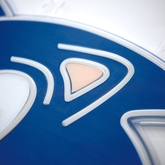 Sega Classic Sonic The Hedgehog Neon Wall Light